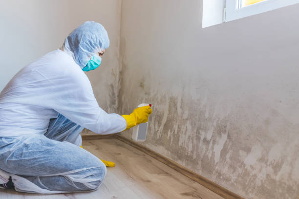 Licensed Commercial Mold Remediation service in Sadsburyville, PA - WQB Mold Removal