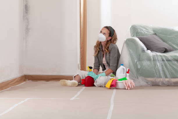 Reliable Commercial Mold Remediation contractor in Sadsburyville, PA by WQB Mold Removal